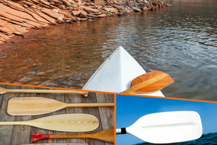 Best Canoe Paddles Buyers Guide Featured Image