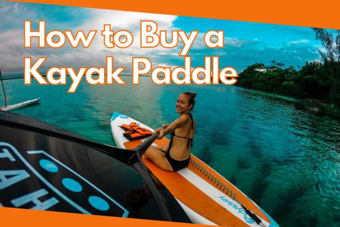 How to Buy a Kayak Paddle